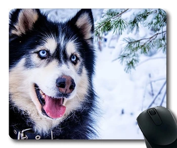 Пользовательский коврик для мыши Забавная собака, Хаски Снежная собака, Ездовая собака, Мех животного, Собака с Голубым глазом, коврик для мыши для собак