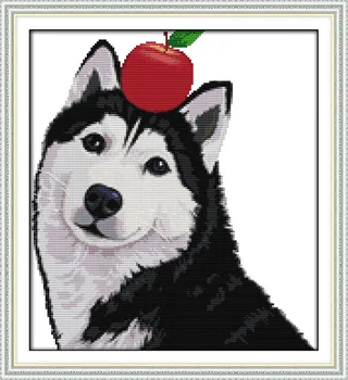 Набор для вышивания крестиком Apple huskies с рисунком собаки на холсте, ткань DMC, вышивка, рукоделие ручной работы, принадлежности для рукоделия