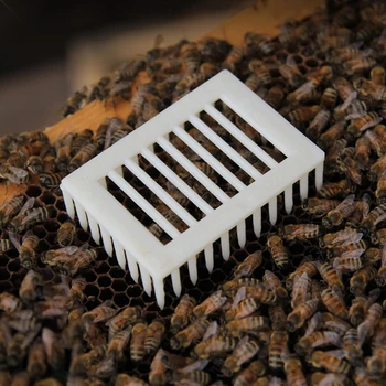 10шт оборудование для пчеловодства клетки для пчелиной матки клеточная комната пластиковая клетка для выращивания новой пчелиной системы аксессуары принадлежности инструменты для пчеловодства